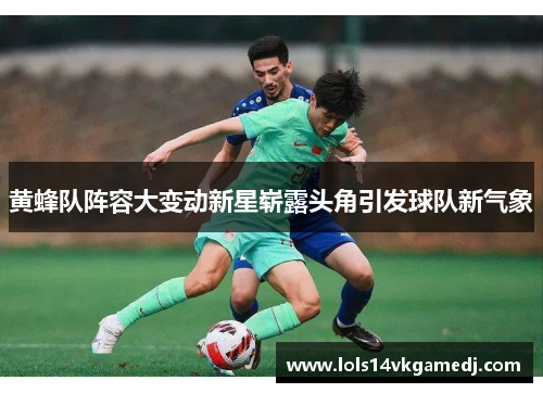 黄蜂队阵容大变动新星崭露头角引发球队新气象