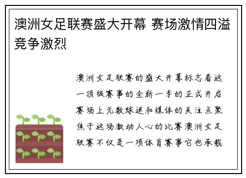 澳洲女足联赛盛大开幕 赛场激情四溢竞争激烈