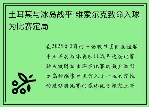 土耳其与冰岛战平 维索尔克致命入球为比赛定局